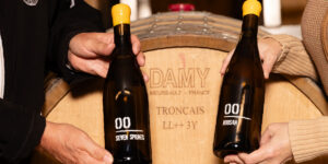 Bodega del Año de los Premios Next Wave: 00 Vinos