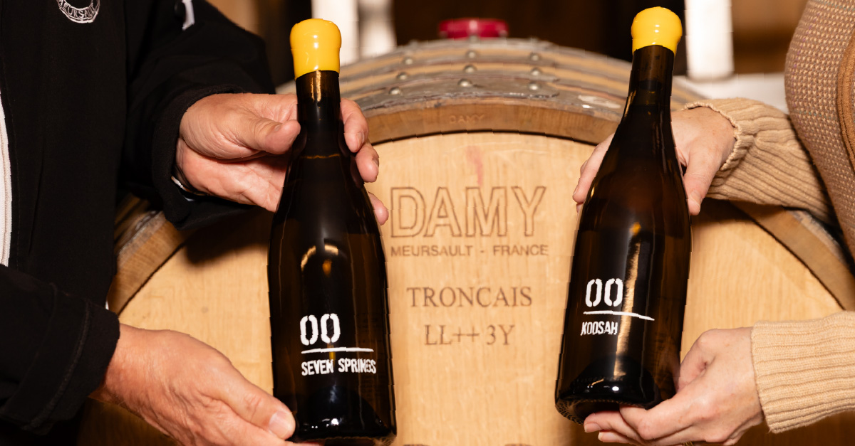 Bodega del Año de los Premios Next Wave: 00 Vinos