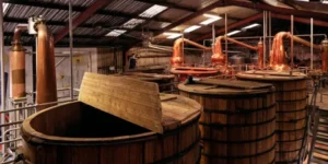 Entrevista: Dingle Distillery sobre el juego a largo plazo