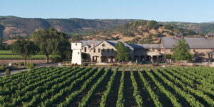 Wine 101: el gran tour del vino americano