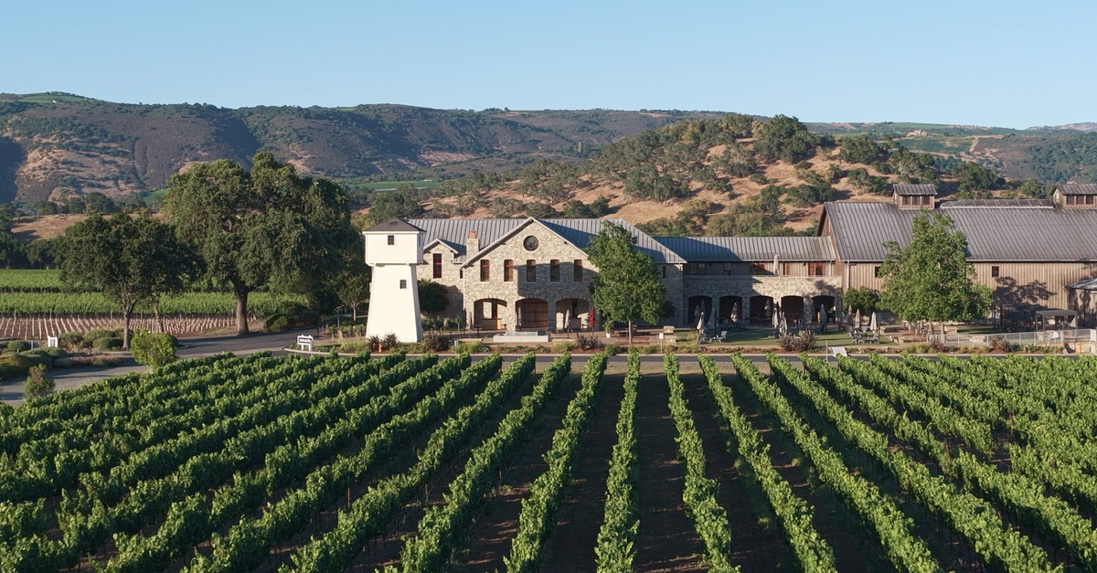 Wine 101: el gran tour del vino americano